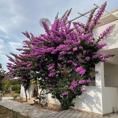Novalja Apartments By Nena Εξωτερικό φωτογραφία