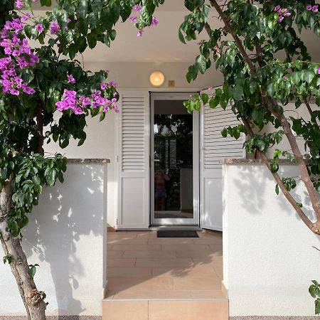 Novalja Apartments By Nena Εξωτερικό φωτογραφία