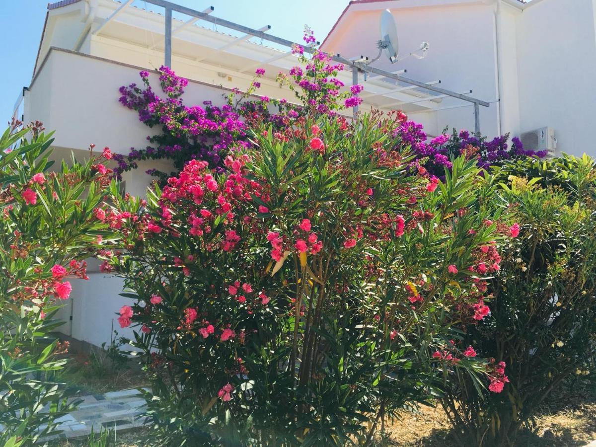 Novalja Apartments By Nena Εξωτερικό φωτογραφία