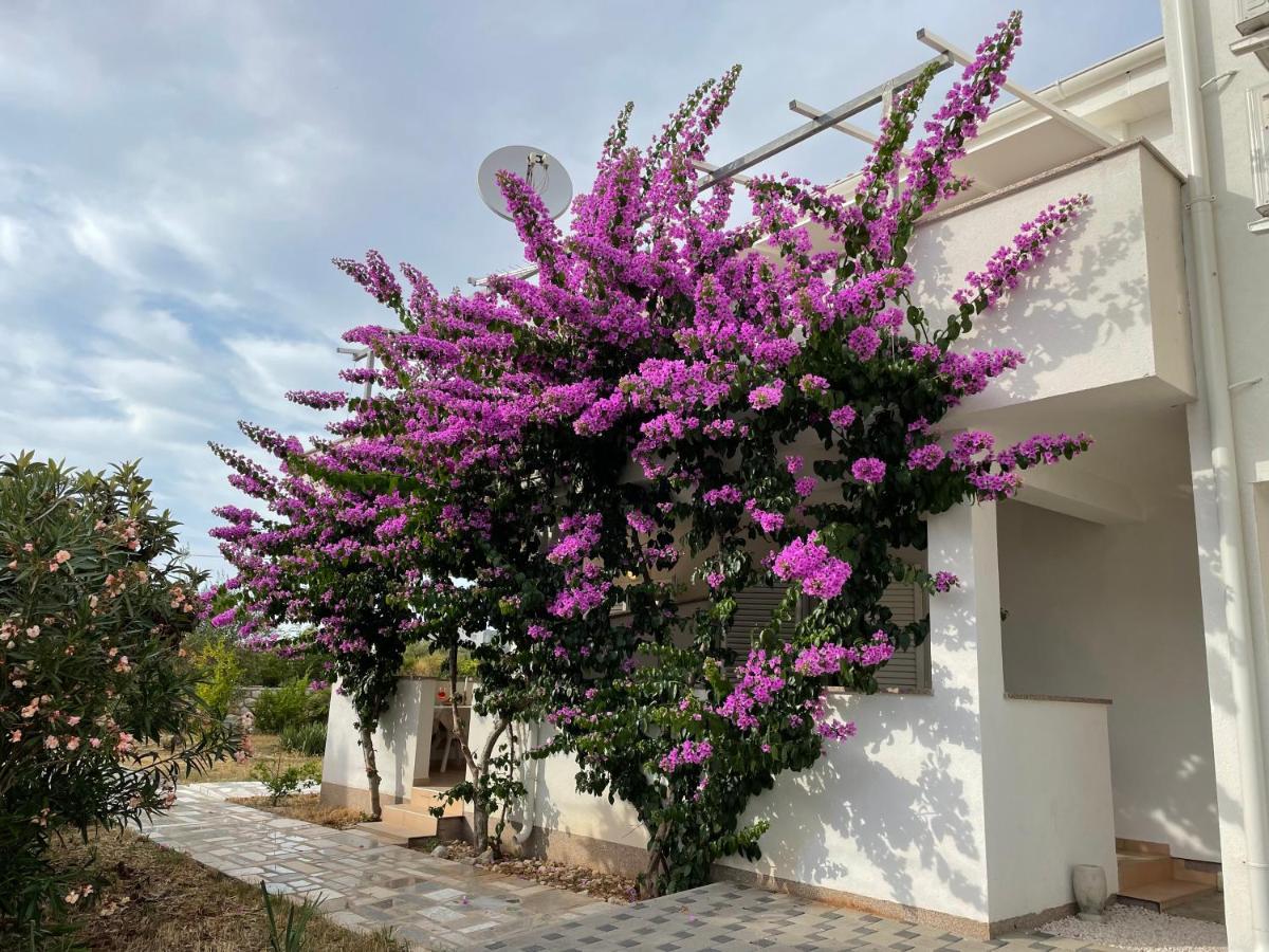 Novalja Apartments By Nena Εξωτερικό φωτογραφία