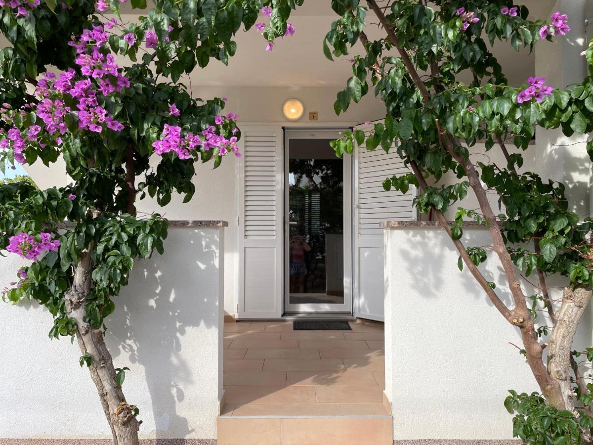 Novalja Apartments By Nena Εξωτερικό φωτογραφία